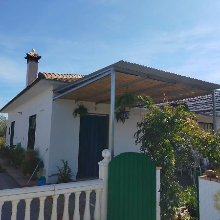Alojamiento Rural La Perdiz La Puebla de los Infantes Luaran gambar
