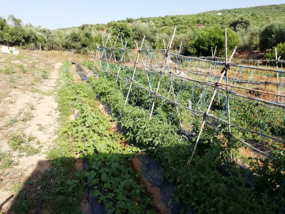 Alojamiento Rural La Perdiz La Puebla de los Infantes Luaran gambar