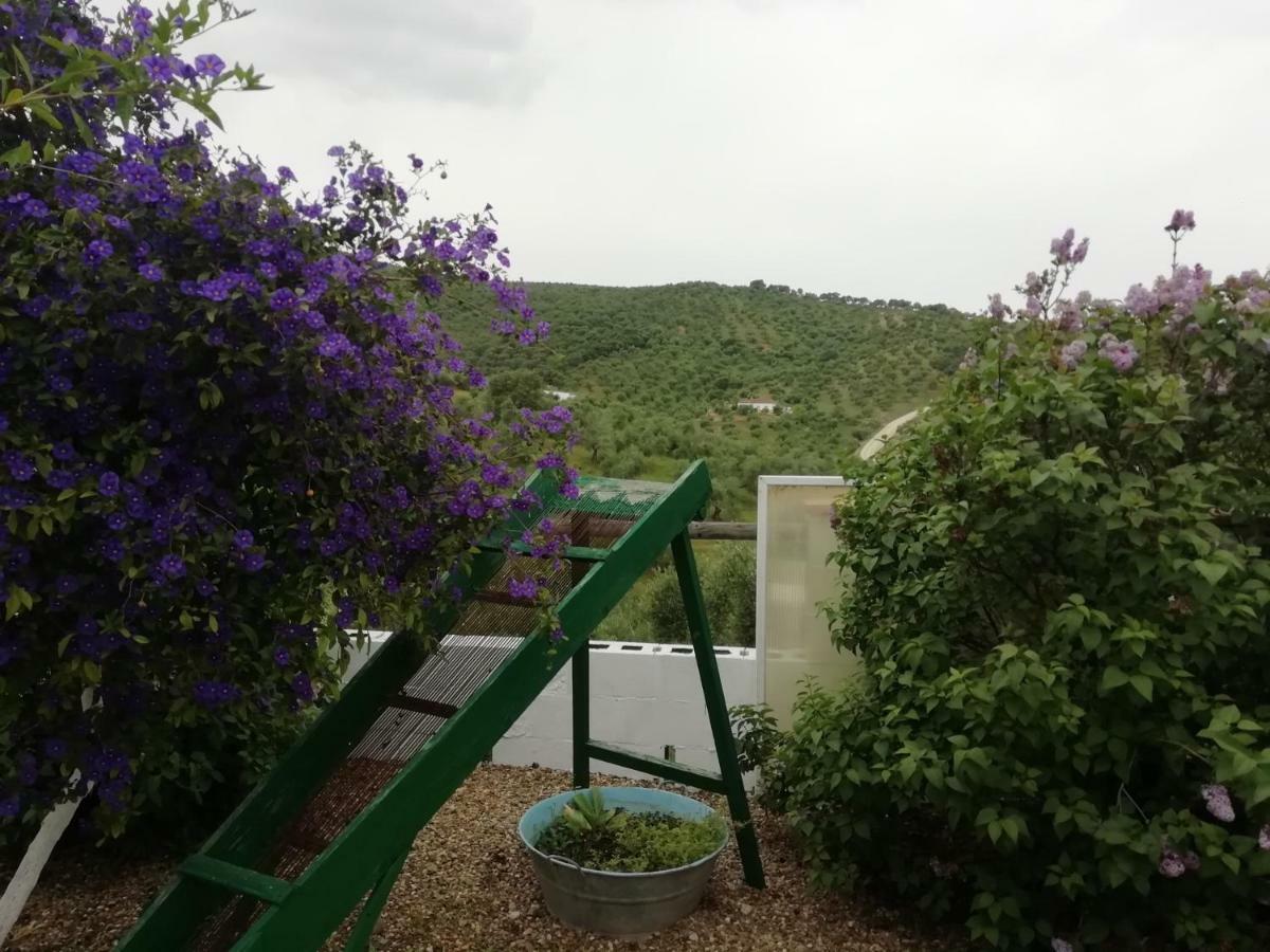 Alojamiento Rural La Perdiz La Puebla de los Infantes Luaran gambar
